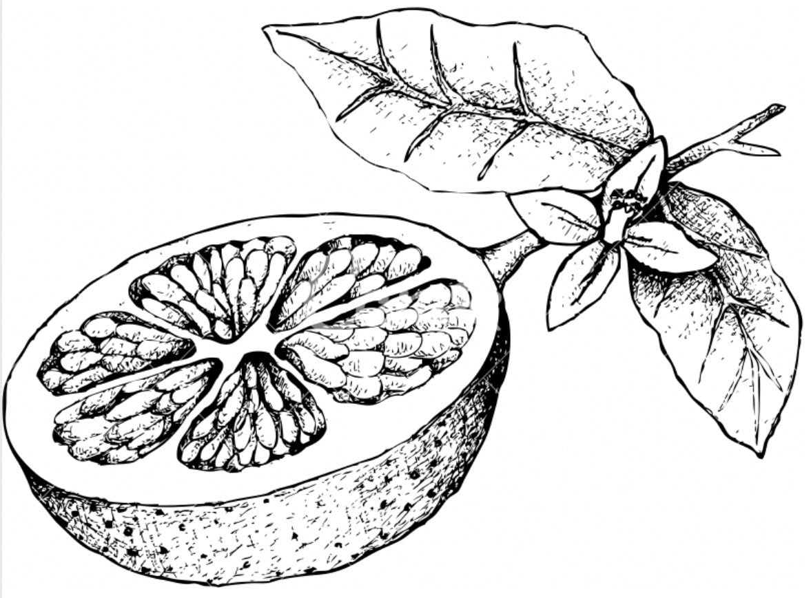 GRAPEFRUIT WHEELS (DEHYDRATED)
