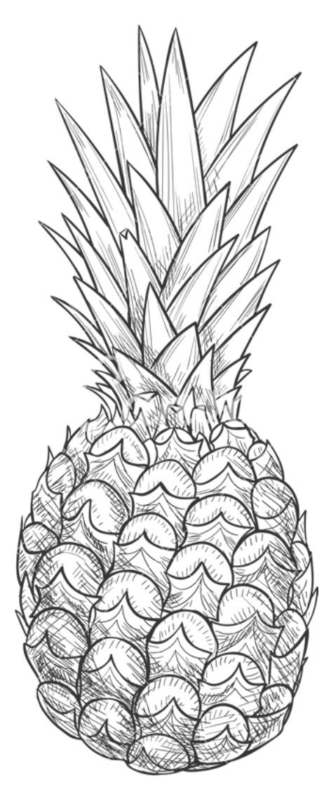 PINEAPPLE HALVES (DEHYDRATED)