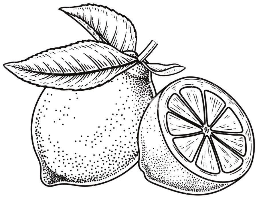 LEMON WHEELS (DEHYDRATED)