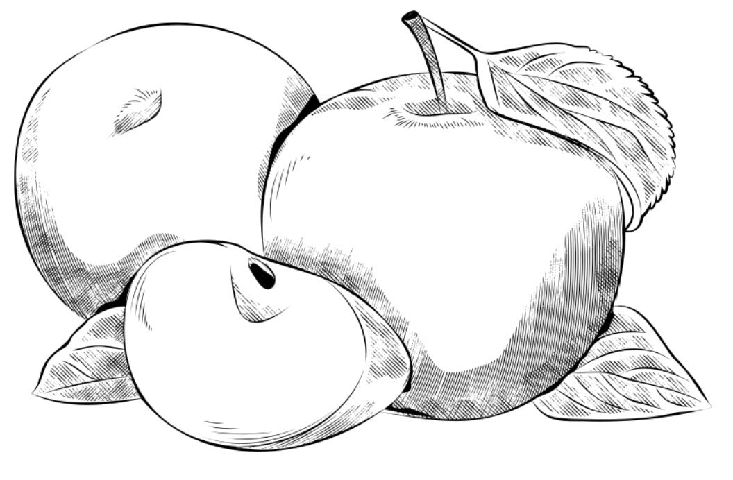 APPLES (DEHYDRATED)